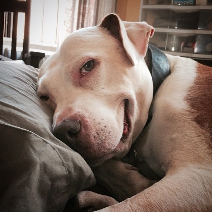 女人在剁手,男人单身狗,美女网友笑了:太形象了