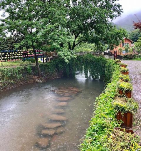 "梅姑娘"发威!宁波发布暴雨蓝色预警,本周有两轮强降雨