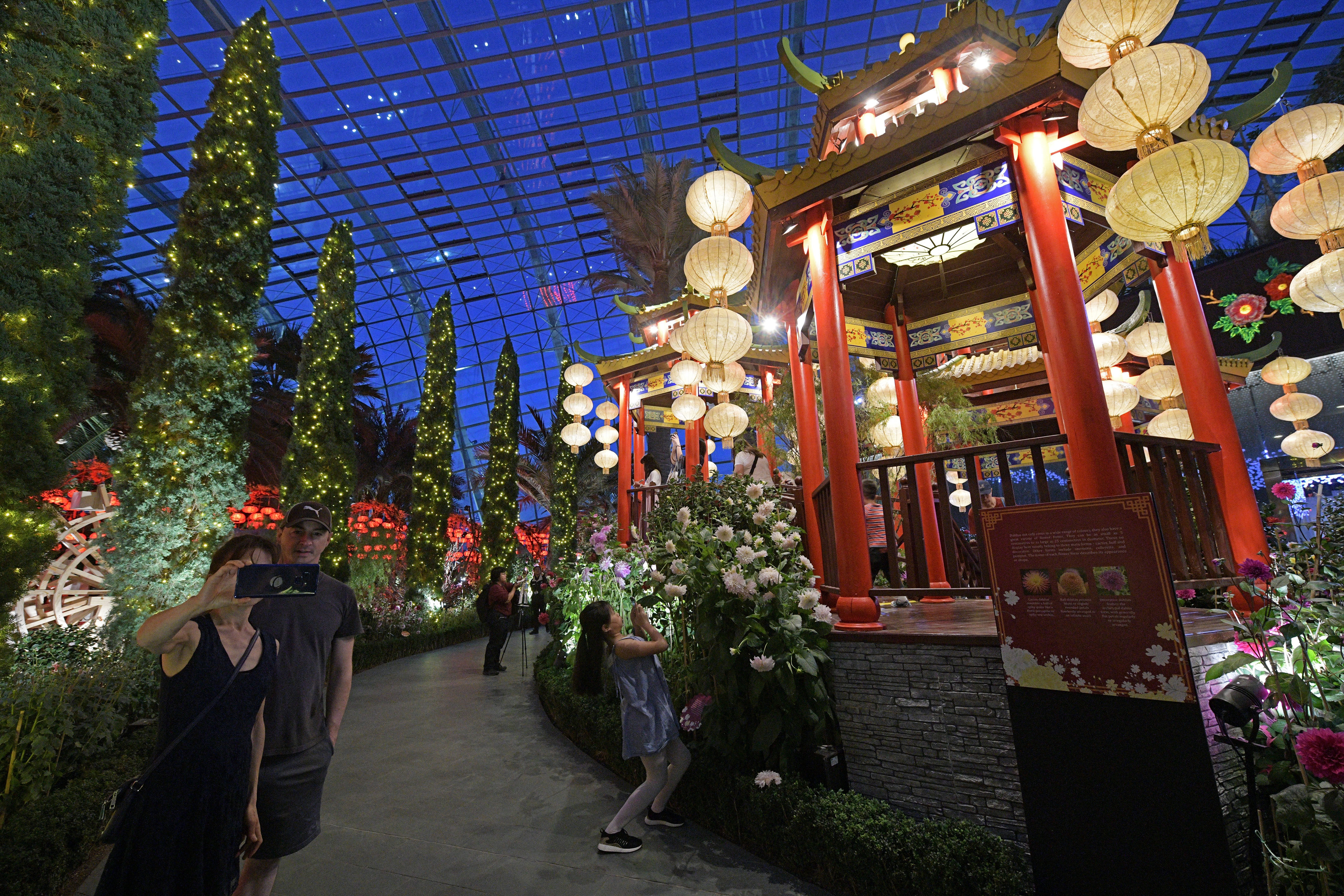 新加坡滨海湾花园花穹春节气氛浓