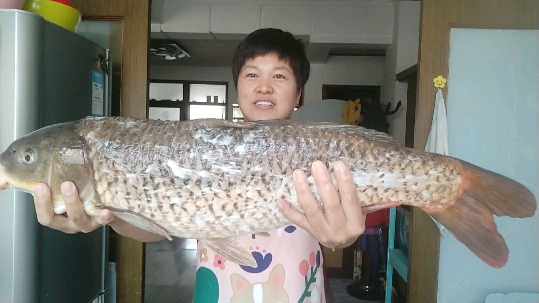 老公想吃鱼,花70元买8斤鲤鱼,做一大盆酸菜鱼,这下吃美了!