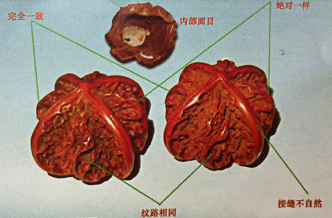 核桃打 - 热门商品专区