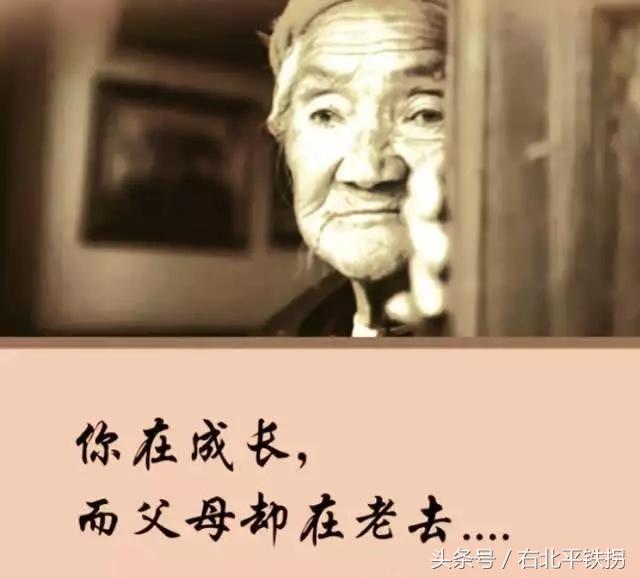 父母致孩子的心里话:当我老了,请不要嫌弃我