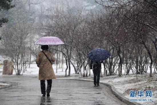 北京雨夹雪图片图片