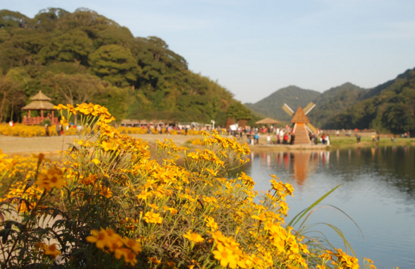 從化摘龍眼,溪頭村一日遊