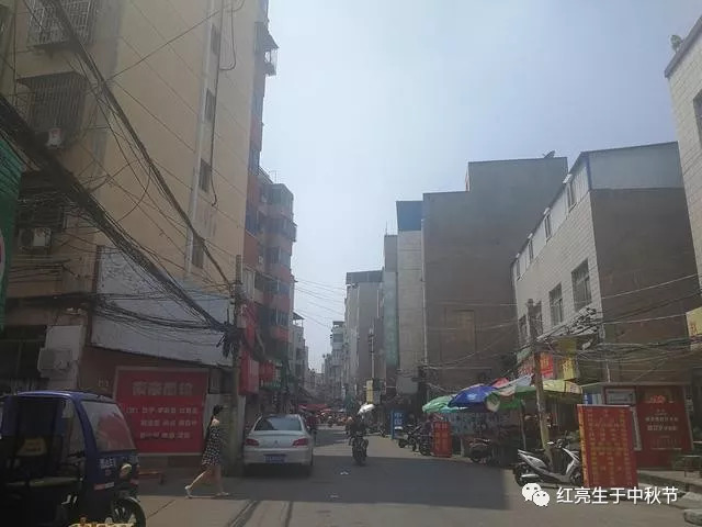 洛阳东下池:柳暗花明又一村