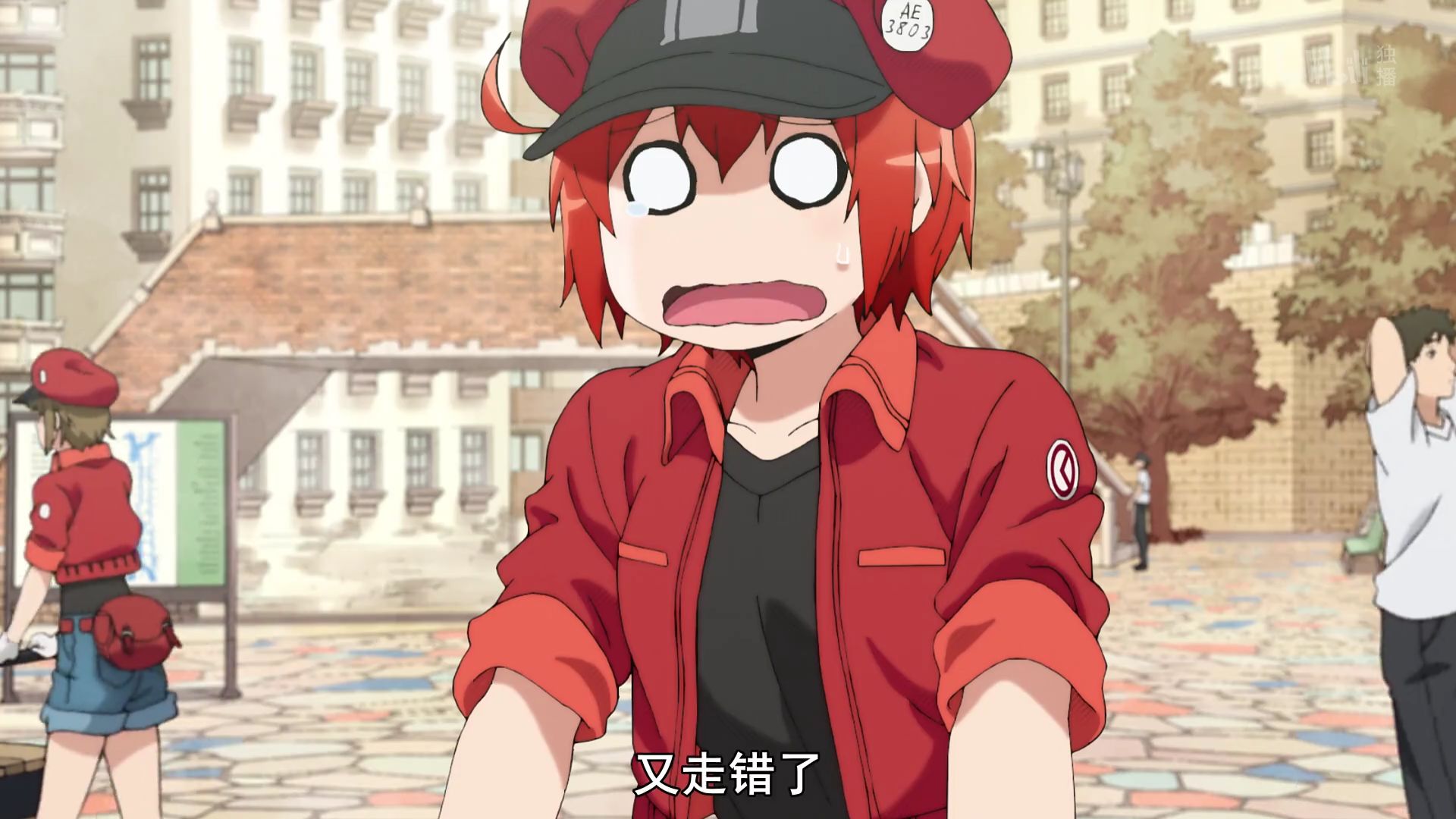 《工作细胞》第12话:来自后辈的关爱;红血球的危机!心惊肉跳