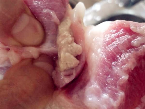 买的猪肉拿回家切开 竟发现不明白色物