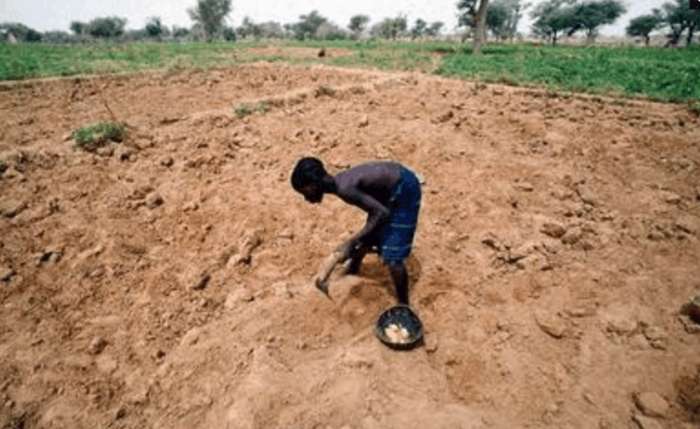 非洲人"饿死不种地,渴死不打井"最大的原因就是"懒"