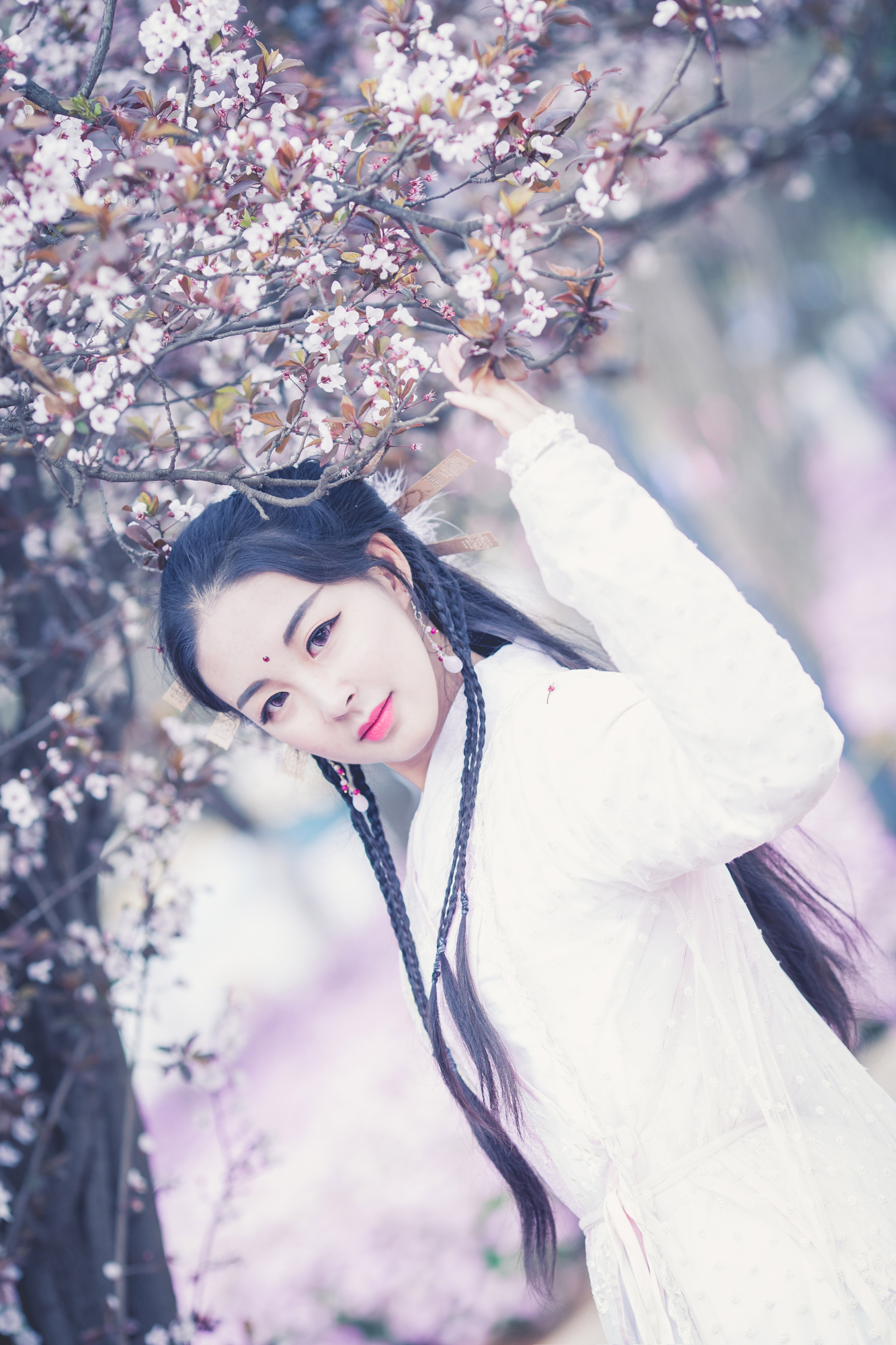 倚天屠龙记,芷若cos