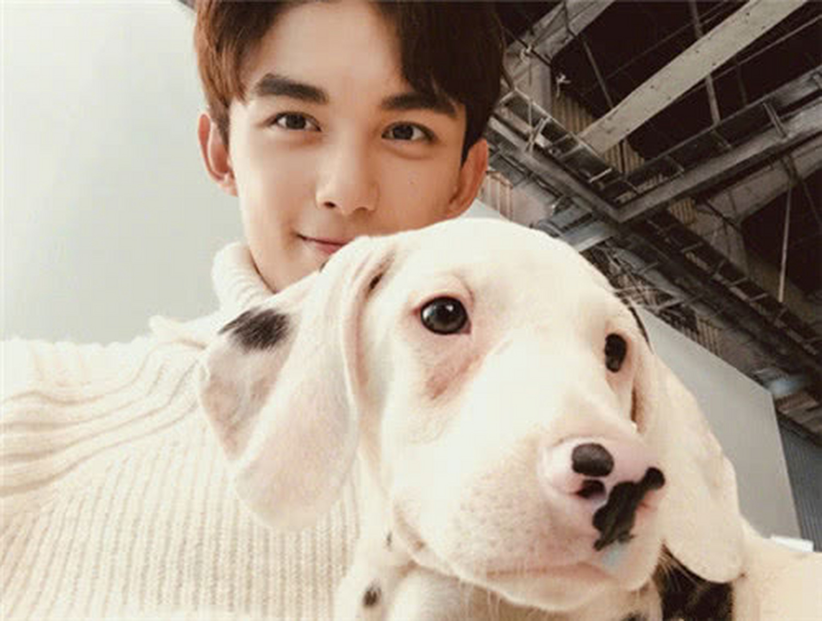 吴磊其实也是一个非常有爱心的 人,在这张图中可以看到他抱着一只非常