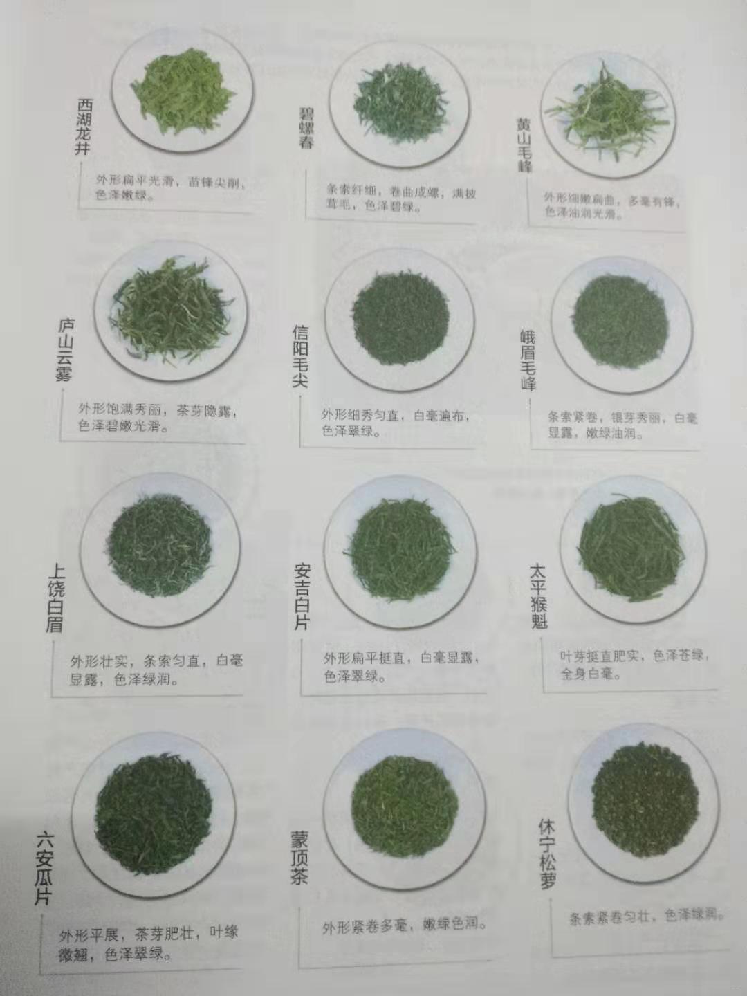 中國十大名茶及茶葉種類