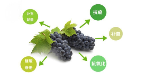 黑加仑葡萄干有什么营养价值和功效