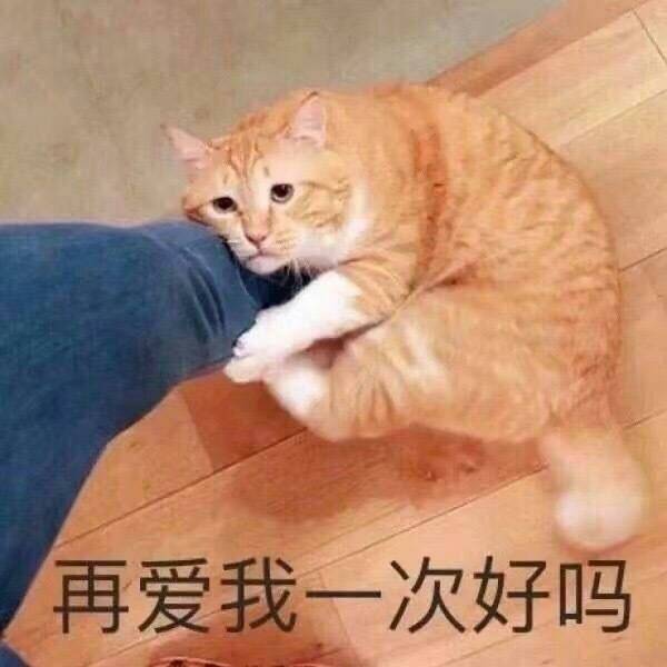 不说废话