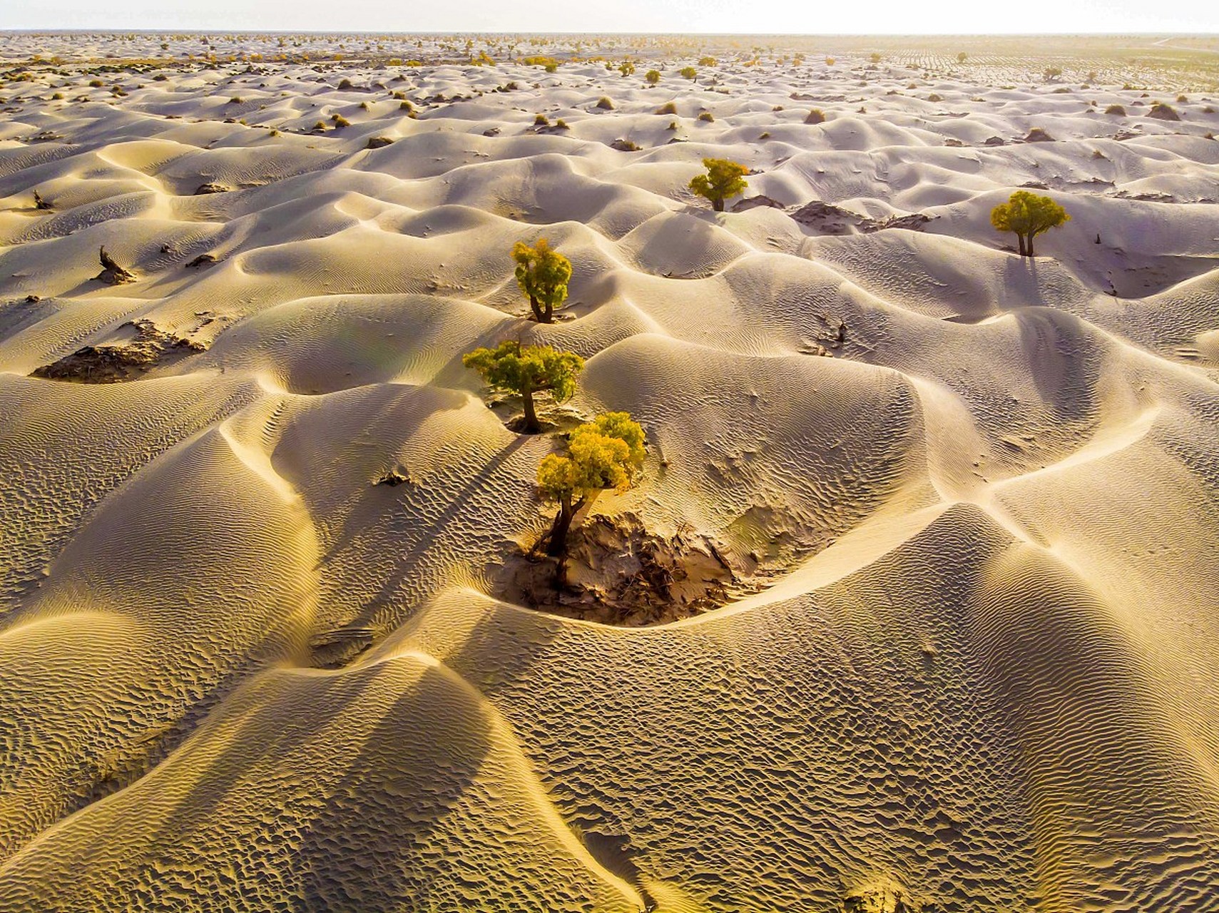 浑善达克沙地是充满生机与多变的神秘之地,夏季和秋