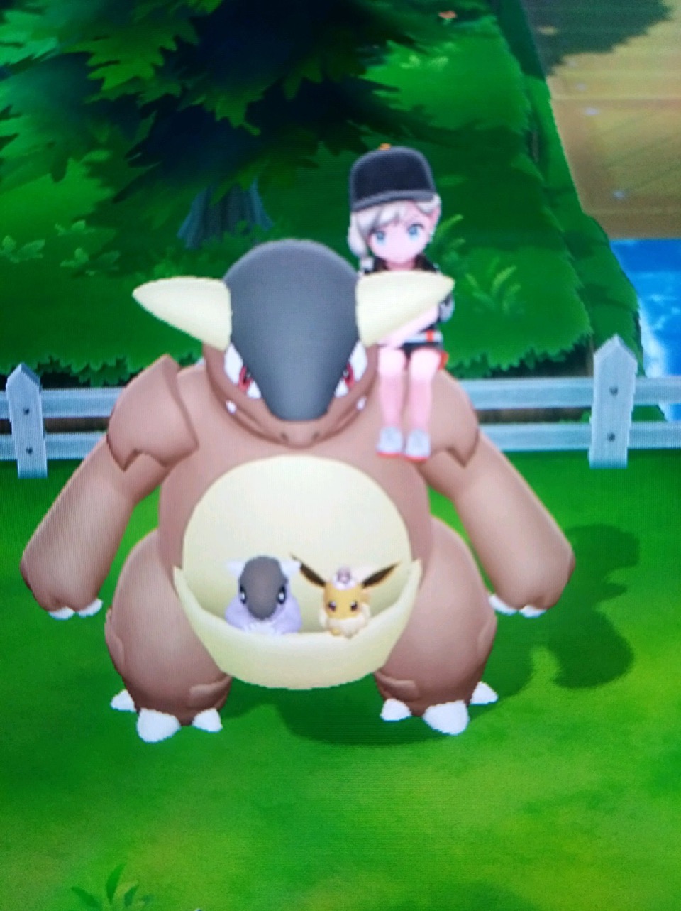 口袋妖怪let go5种超萌坐骑骑乘 精灵宝可梦种族值个体值努力值