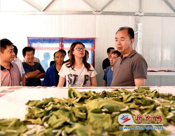 河曲县长任鸿宾深入乡村调研农业产业化发展