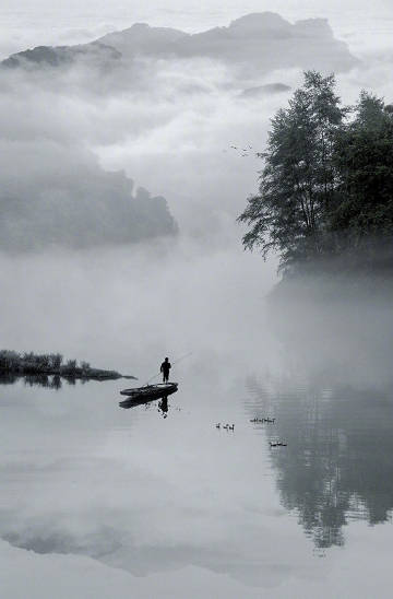 小舟从此逝,江海寄余生 |网友神评论