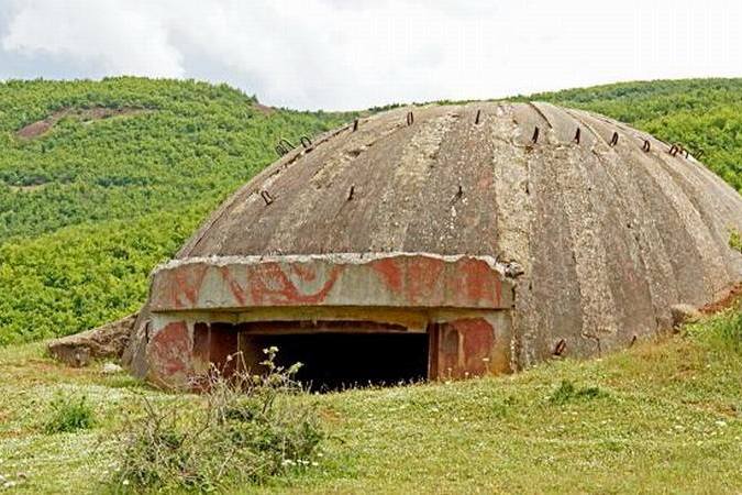 地下核掩体能否拯救人类?从蚂蚁对比人类得到的反思