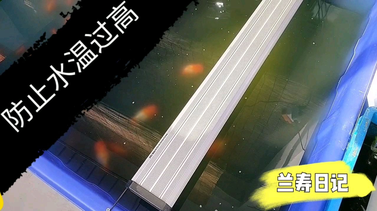 根据温度压制金鱼繁殖时间
