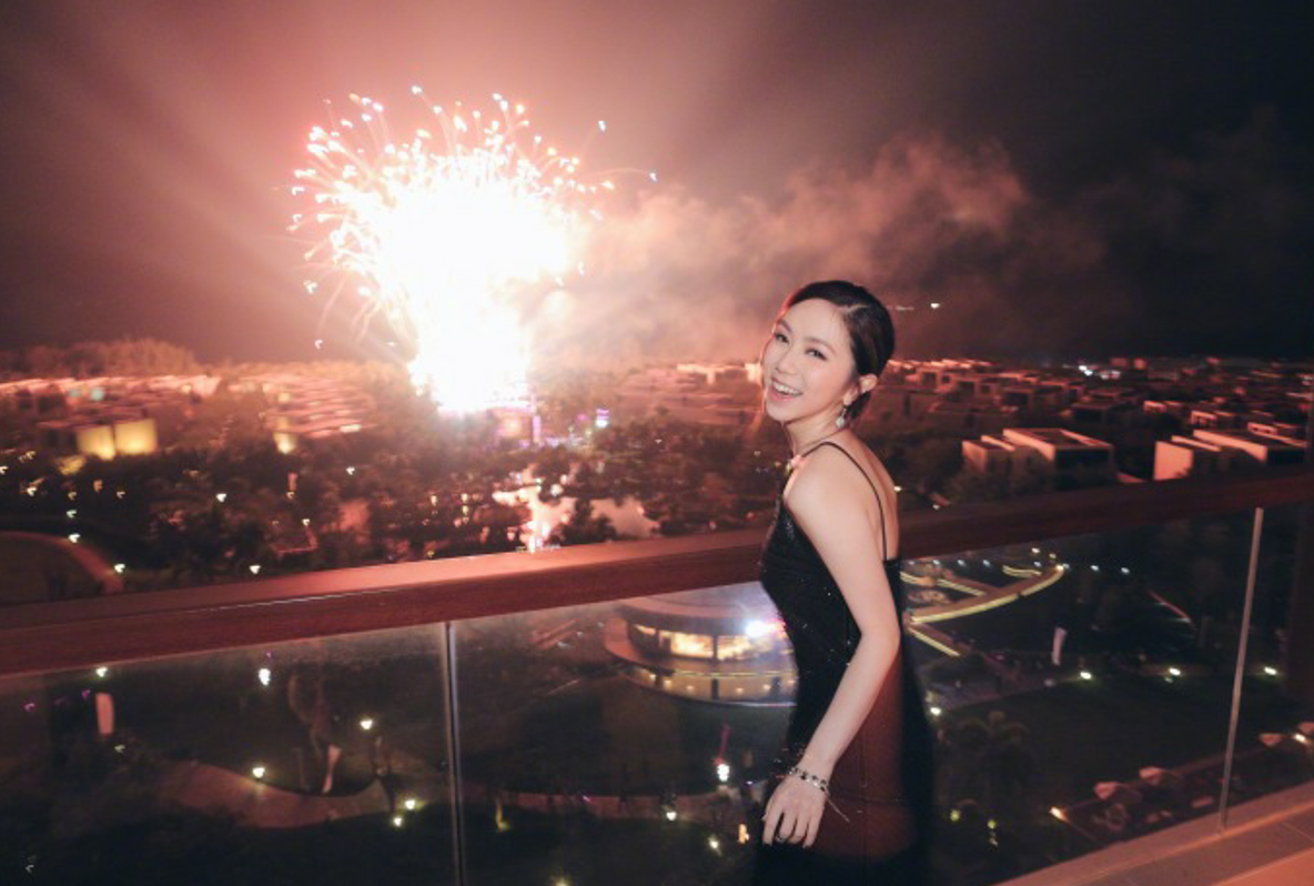邓紫棋晒烟花背景美照,网友:2018年新出炉的表情包