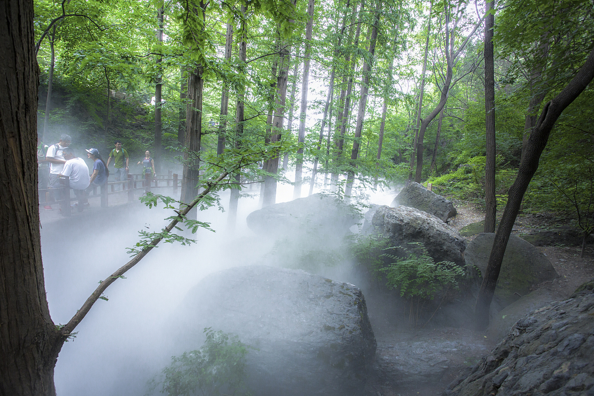 海淀旅游资讯# 目前地质灾害预警已解除,国家植物园樱桃沟及周边