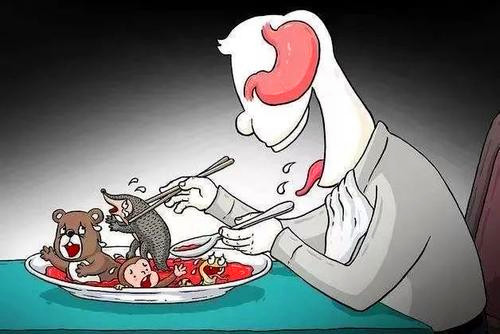 重拳出击!喜欢吃野生动物的人该消停了!