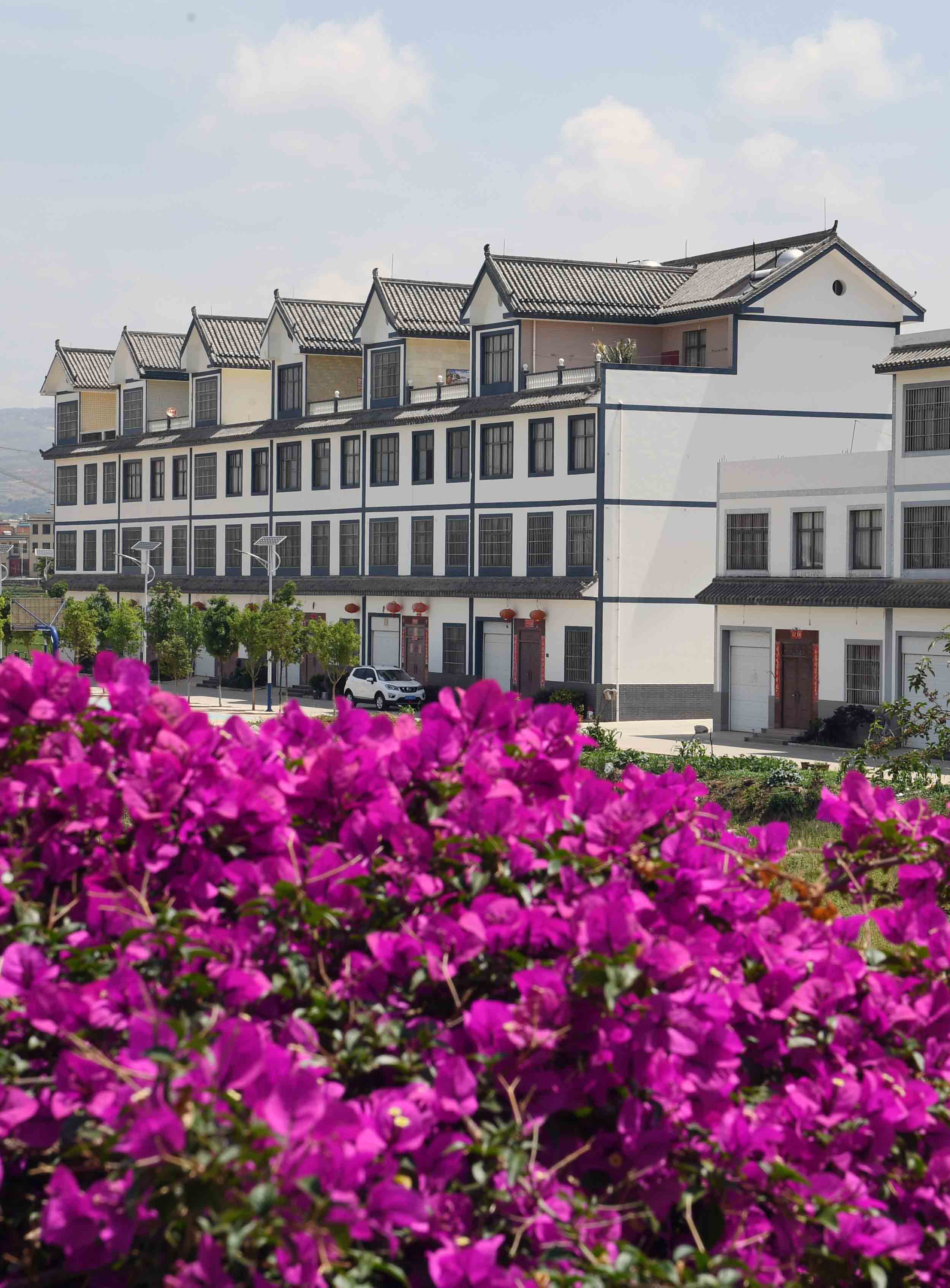 走访云南曲靖美丽宜居乡村(2)