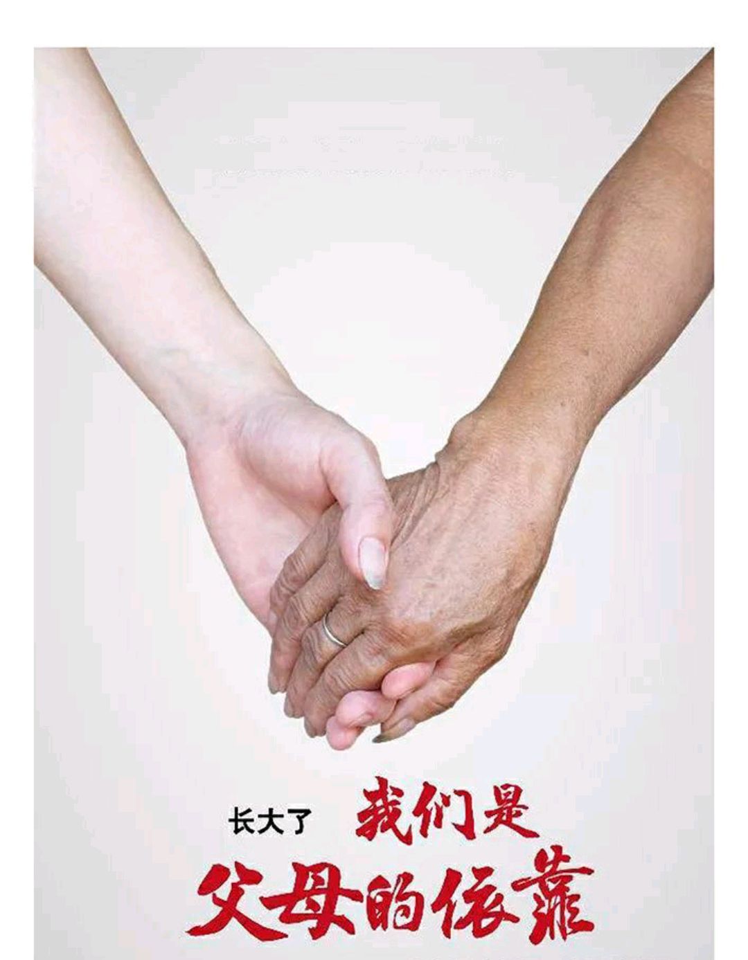 树欲静而风不止,子欲养而亲不待