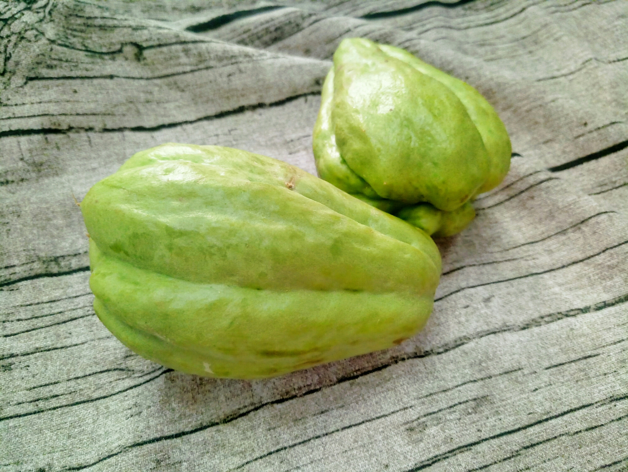 它产量极高,农民种一棵够吃半年,止咳又润肺,还能当水果吃!