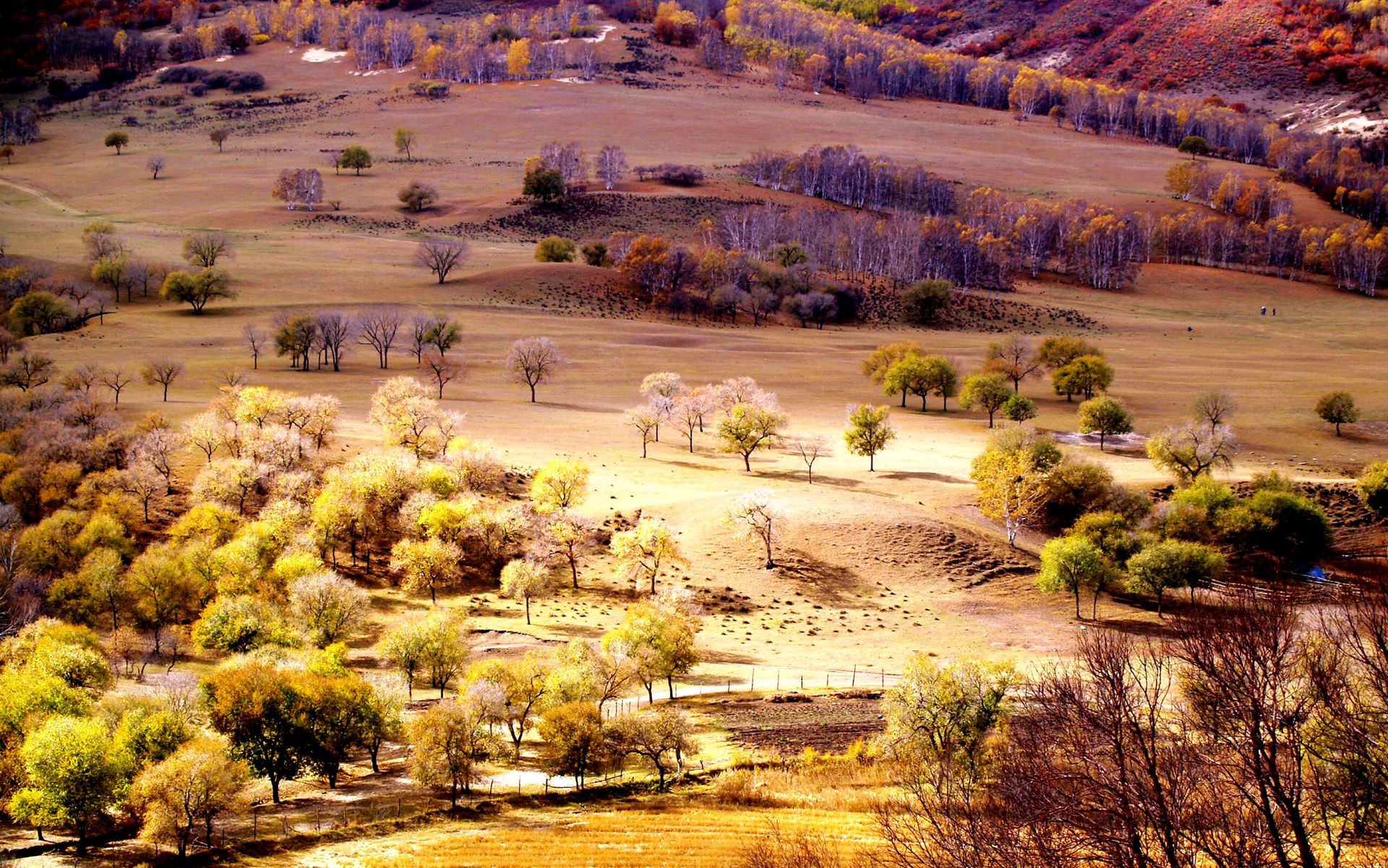 地理答啦旅行摄影:河北承德木兰围场,坝上草原无限美好风光