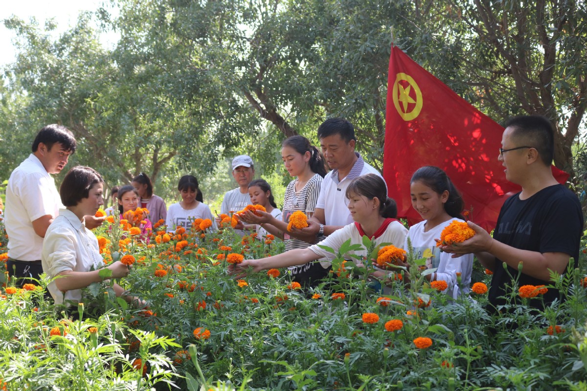 系列活动丰富新疆莎车县荒地镇尤库日塔尕其(1)村学生暑期生活