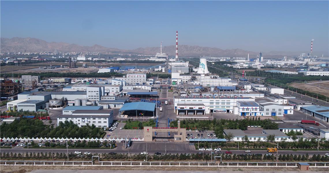 中盐集团:盐业"顶梁柱"加速改革发展