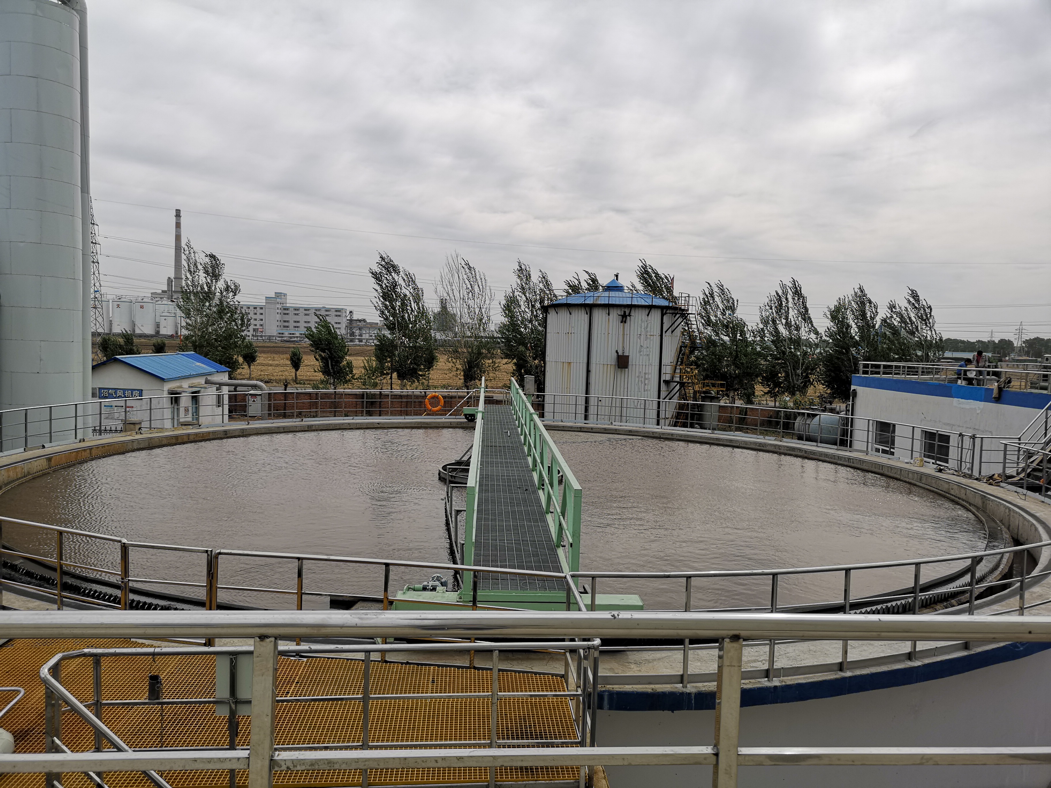 cass工艺详解,赶紧收藏吧!