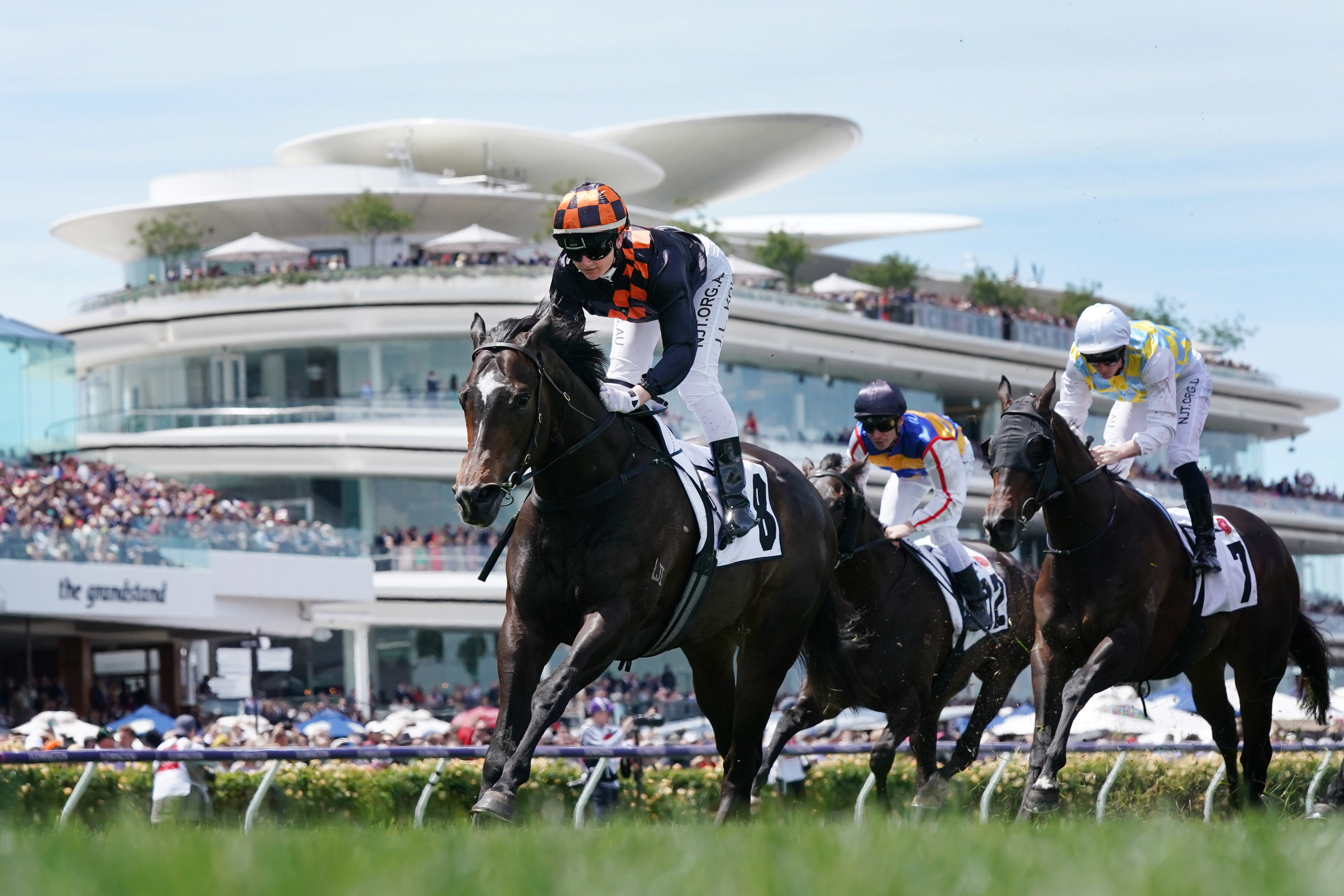 赛马——墨尔本杯:澳大利亚骑手夺冠(3)