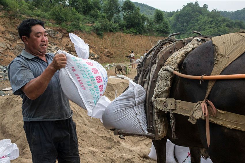 深山来了骡子驮运队,行走崎岖羊肠小道间,跟着骡子跑真是累死人