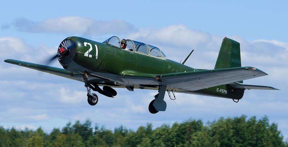 教练机 - 热门商品专区