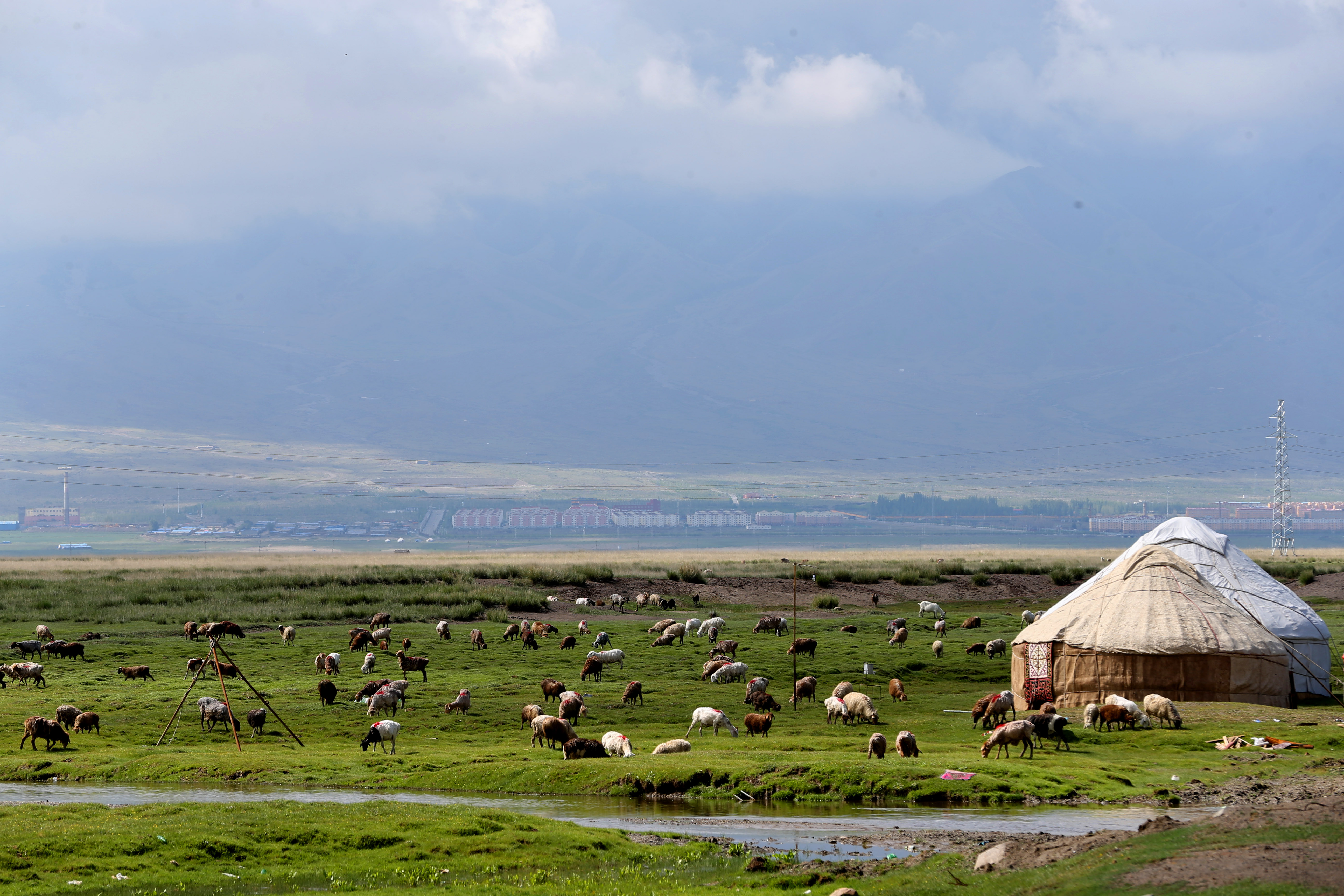 新疆巴里坤草原美如画(1)