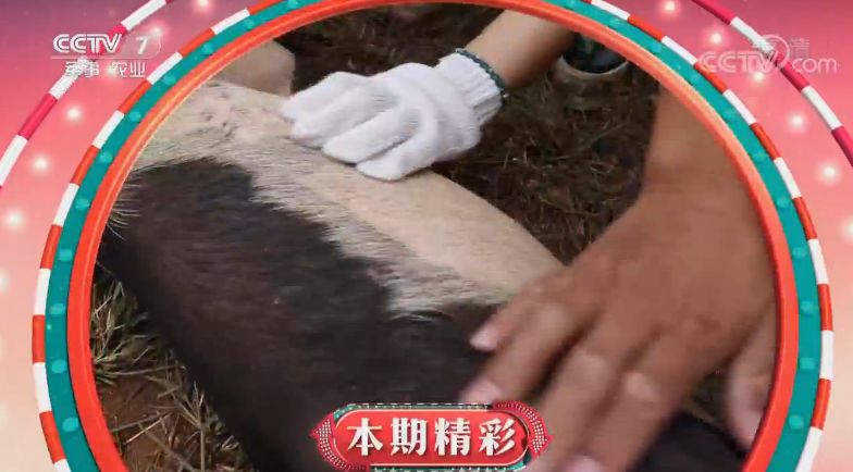 当名特优新遇上央视食尚大转盘的瞬间!幸福来临了