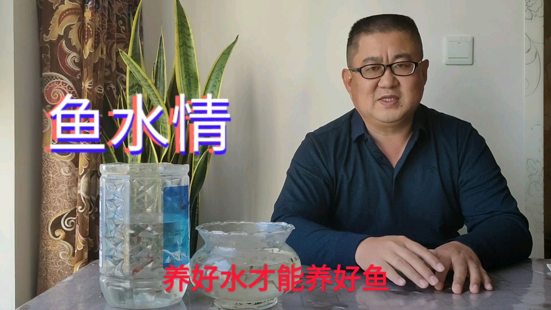 孔雀鱼隔三差五死几条,是水没晾好,掌握这四点,就能养好水和鱼