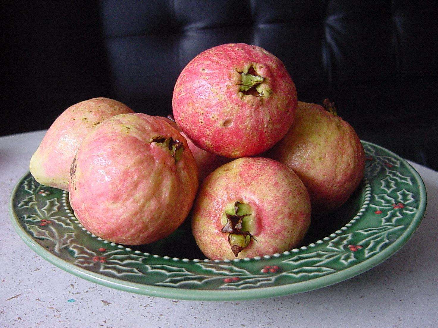 胭脂红番石榴,原来是这样种植的,不看不知道