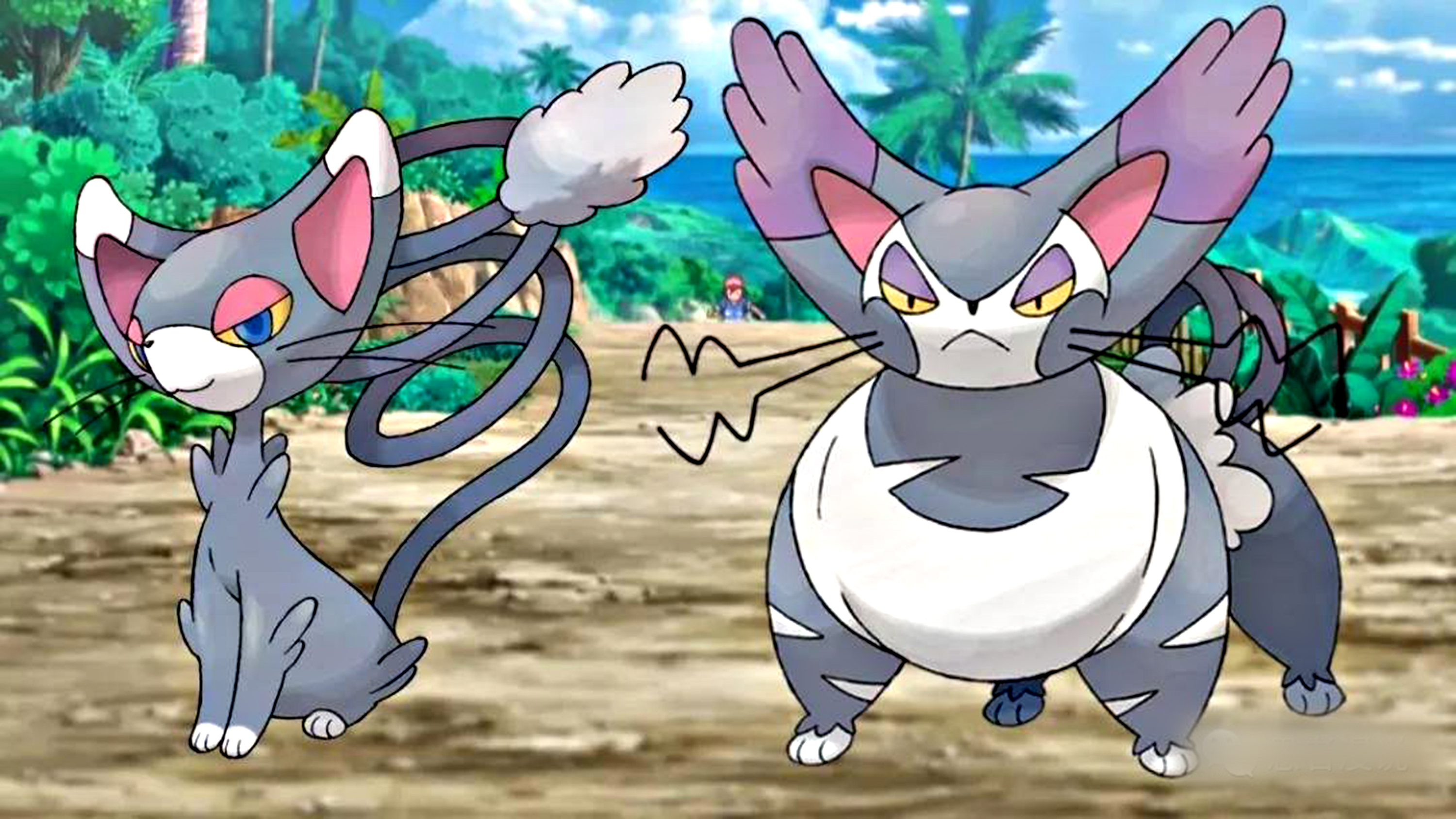 神奇宝贝:盘点火箭队喵喵的几段辛酸恋爱史