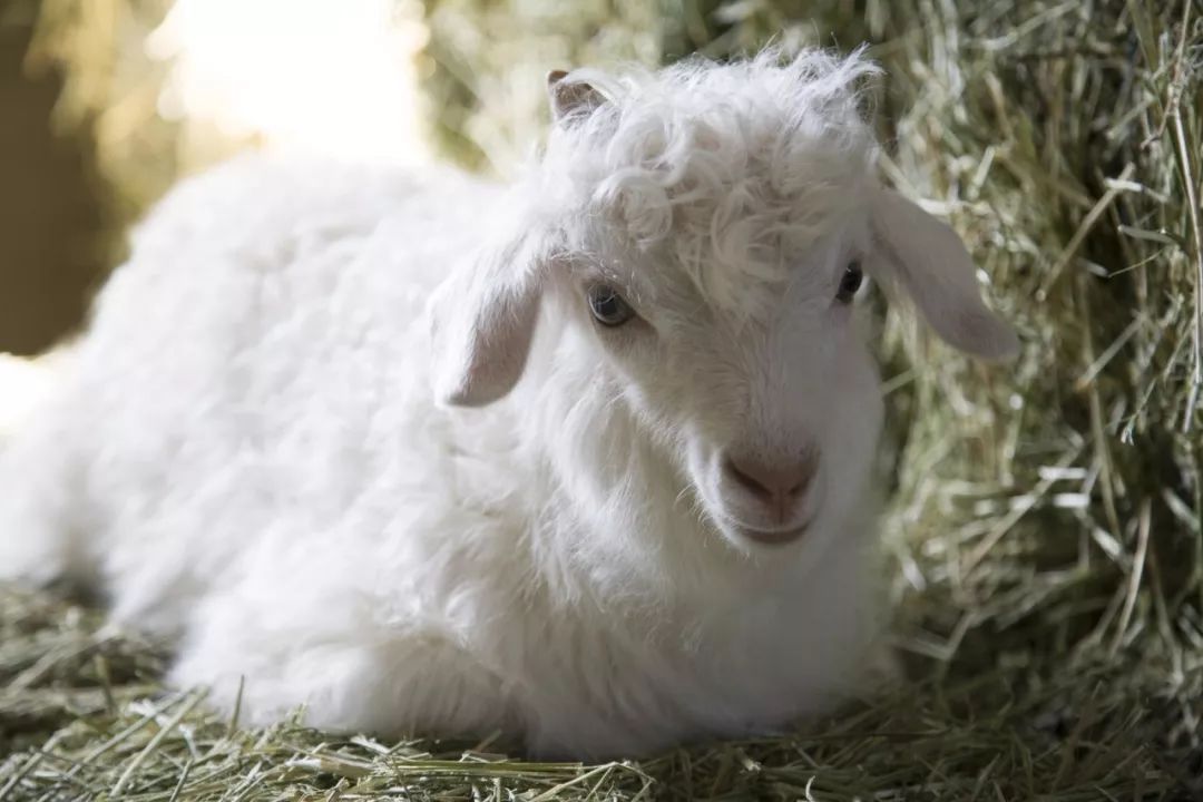 都市青年欲望清单:想要全世界的好东西!