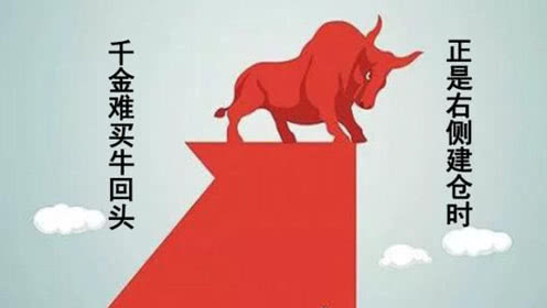 千金难买牛回头 下周抓紧吃肉