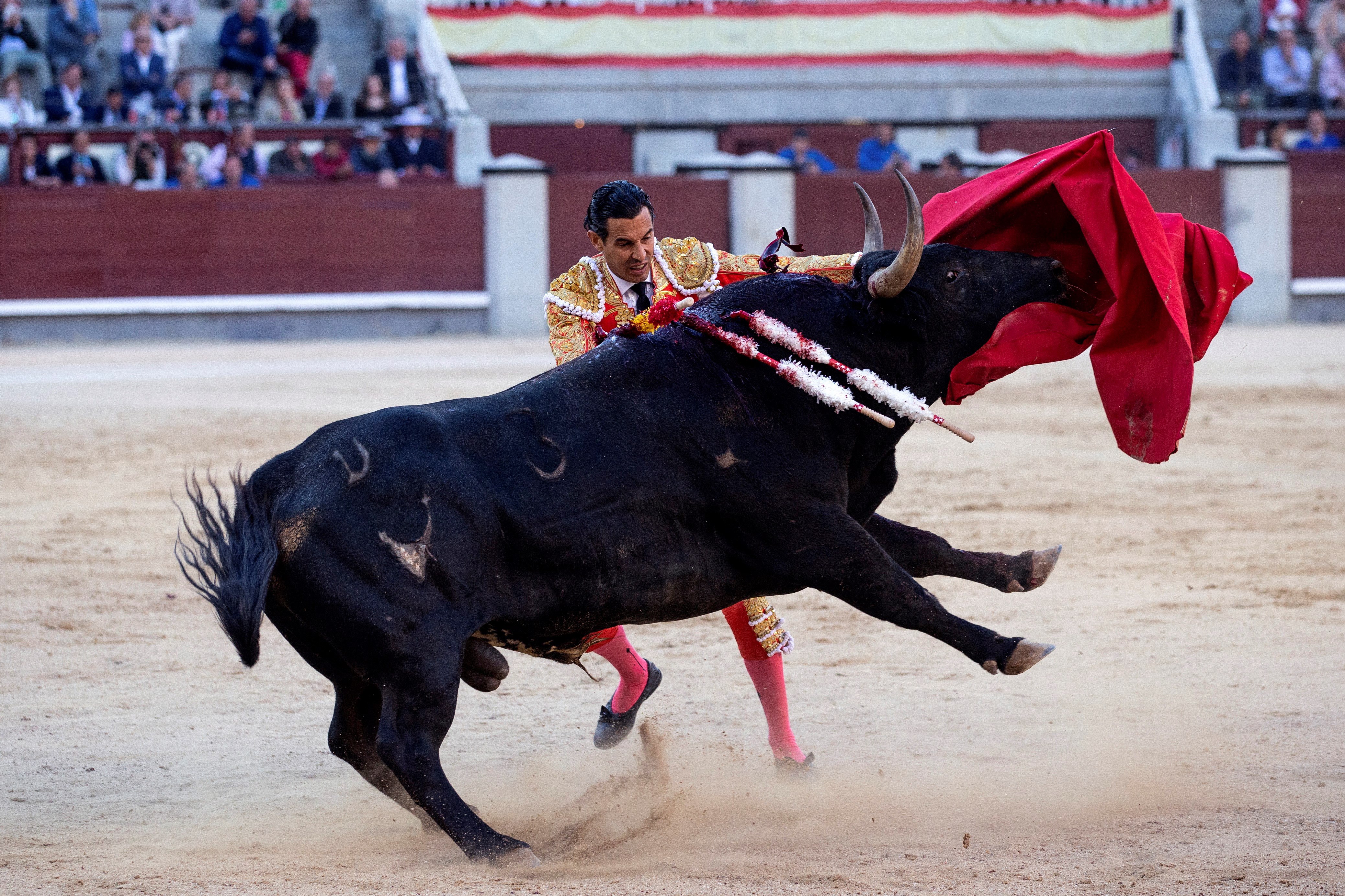 马德里圣伊西德罗斗牛季(7)