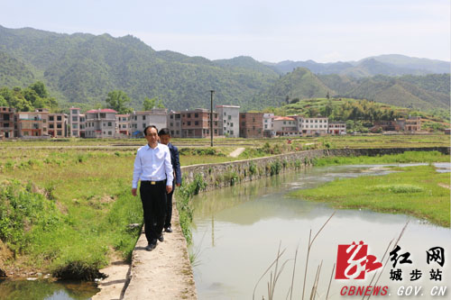 杨博理深入城步金紫乡,西岩镇调研指导工作