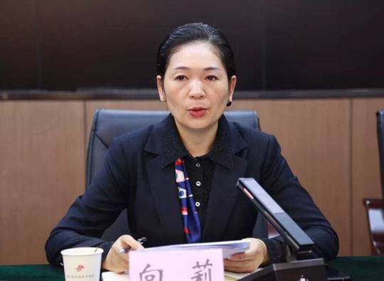 向莉任遂宁经开区党工委书记