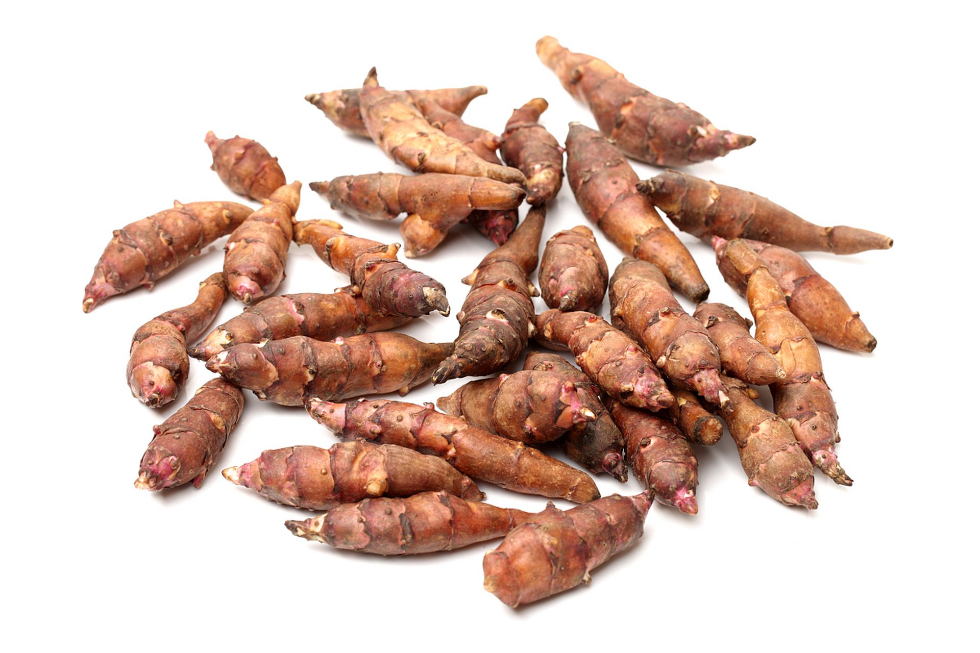 洋姜,一种耐寒耐旱的菊科植物,被广泛用于改善荒漠土地.