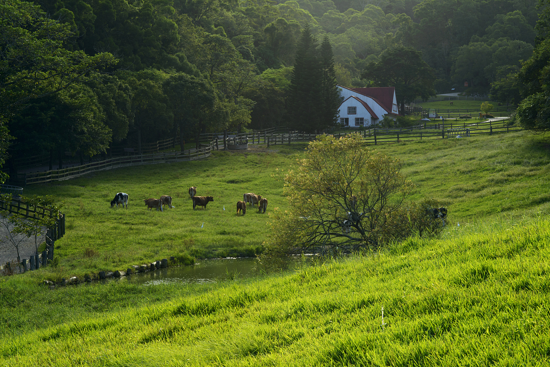 你彻底放松,尽情玩耍的地方,那么重庆仙女山大草原绝对是你的不二之选