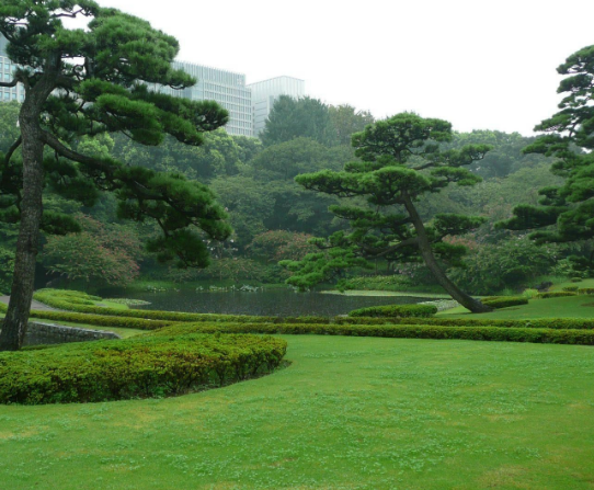 日本皇居内苑图片