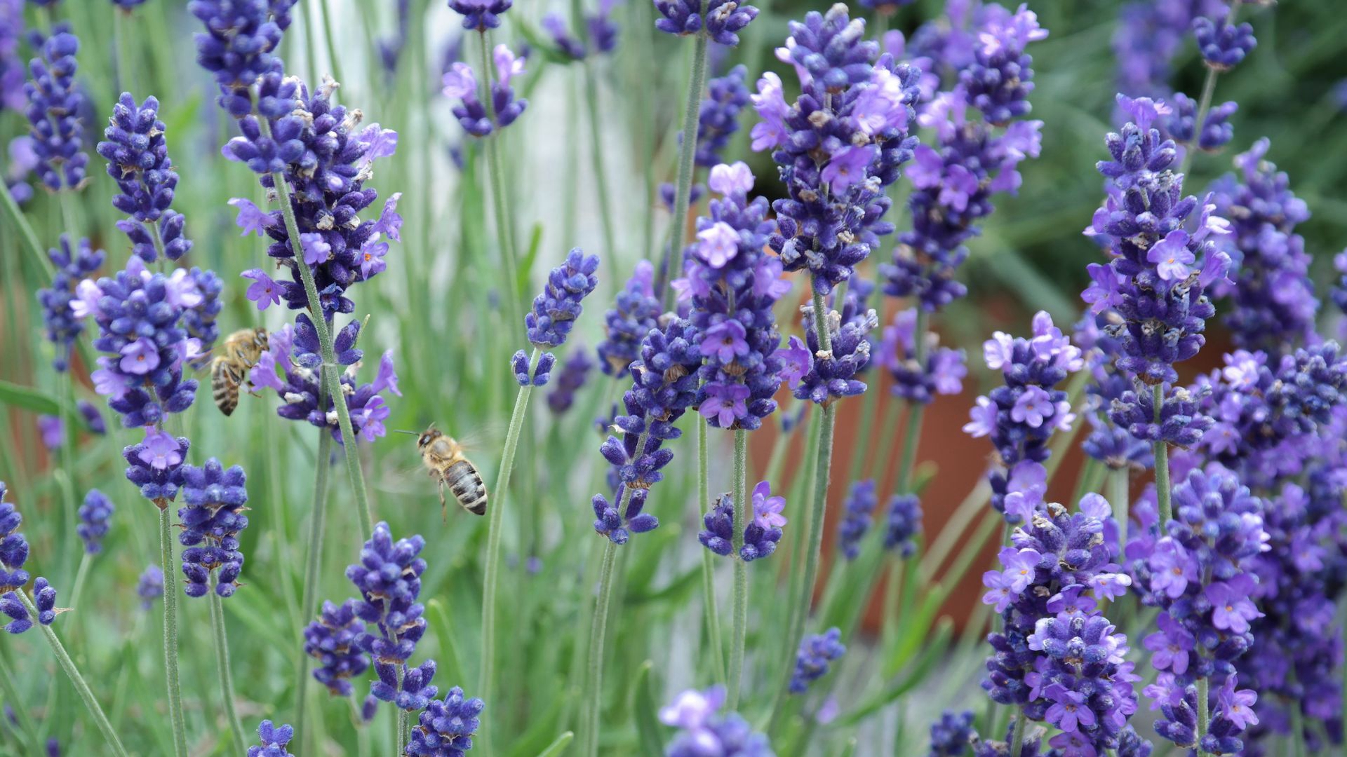 2018微博让人深思的句子,看完瞬间没有烦恼,快来品读一下